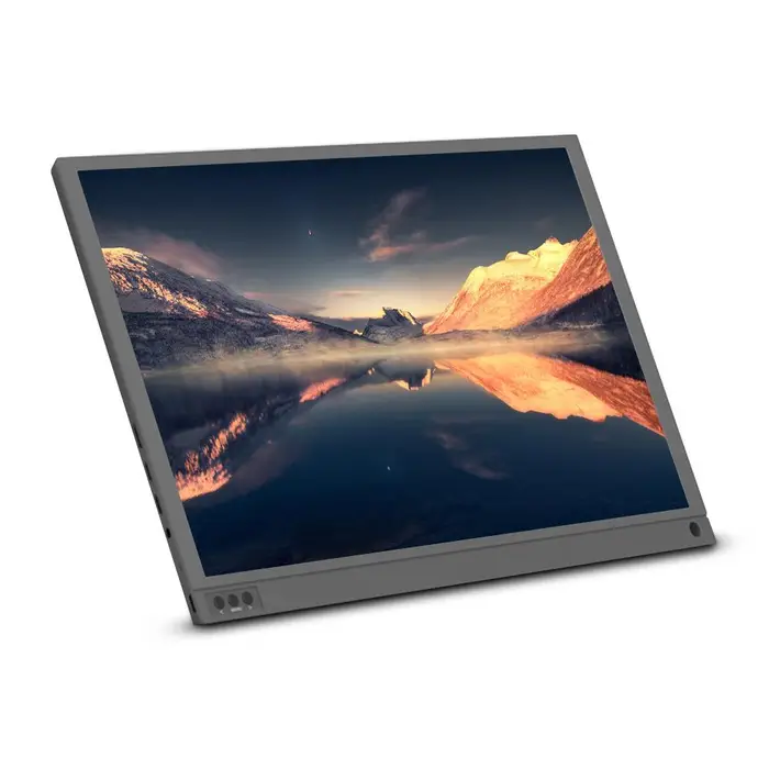 3d printing machine Monitor portatile da 15,6 pollici Schermo IPS Full HD 1920x1080 con altoparlanti stereo integrati Type-C HDMI grigio