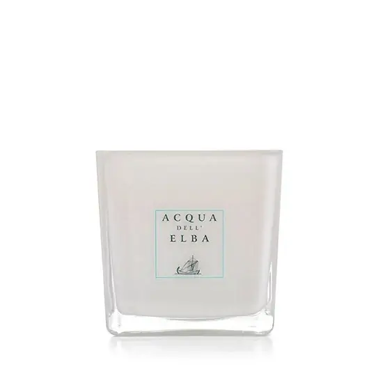 Acqua dell elba Note di Natale Candela 180 g