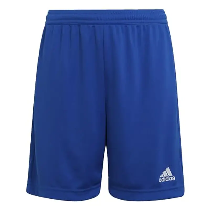 Adidas Shorts / Pantaloncini 1598685