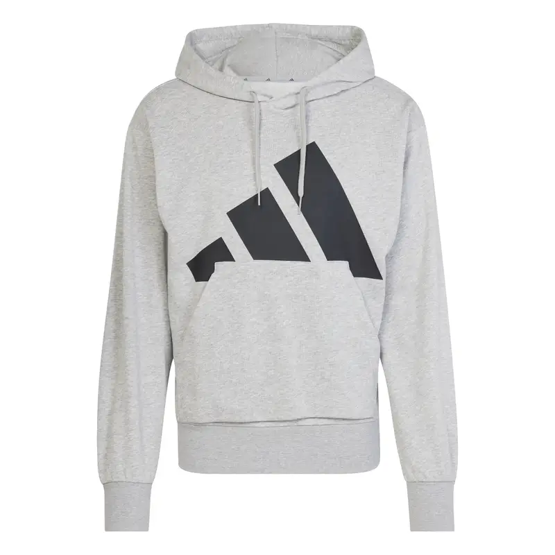 Adidas Felpa con cappuccio Essentials Big Logo Gris