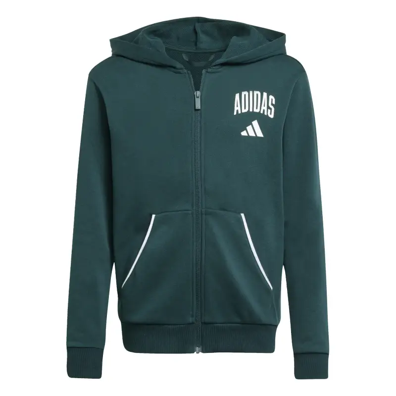 Adidas Felpa con cappuccio per bambini Essentials Collegiate Typography Vert