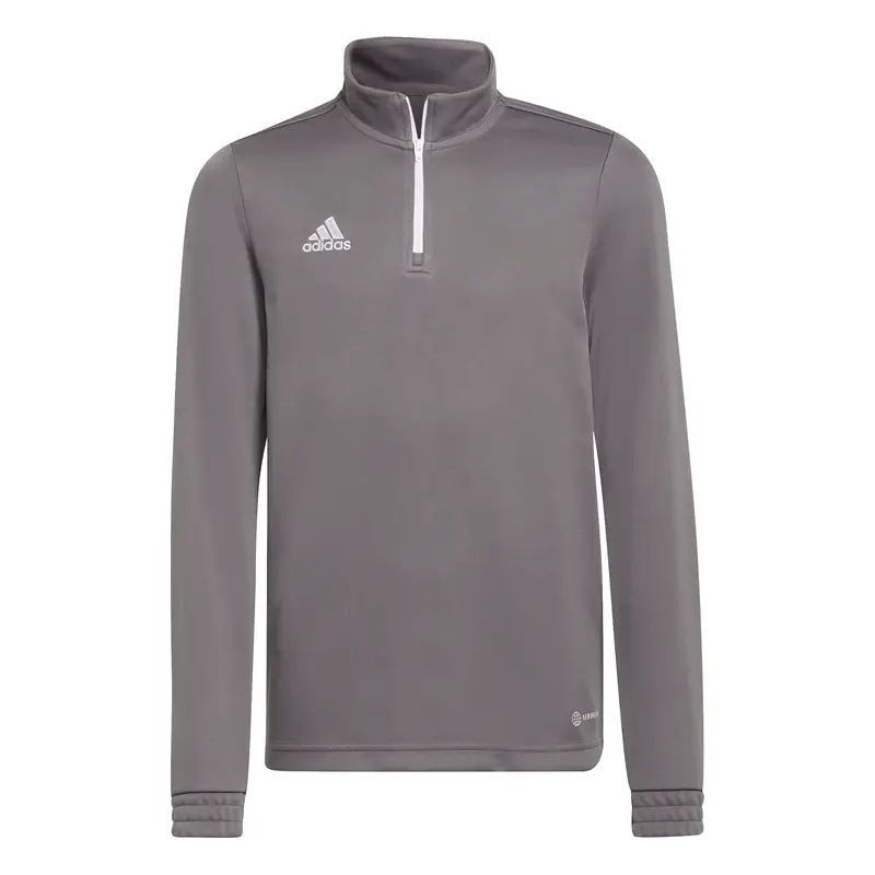 Adidas Felpa della tuta per bambini Entrada 22 Gris