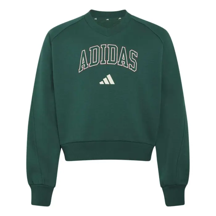 Adidas Felpa scollo a V ragazza Seasonals Collegiate Typography Vert