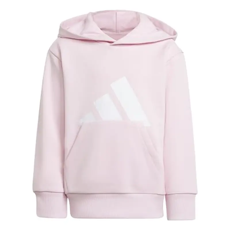 adidas Unisex - Bambini ESSENTIALS BIG LOGO HOODIE, Rosa (Clear Pink/White), 6