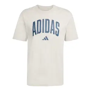 Adidas Uomo COLLEGIATE TEE - GREY - JM6415 Grigio
