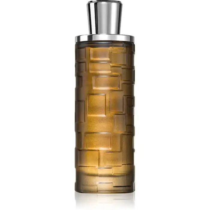 Mystique Homme Eau de Parfum per uomo 100 ml