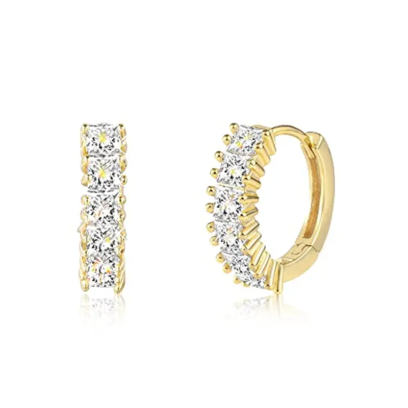 ALEXCRAFT Orecchini a Cerchio Argento 925 Piccoli Orecchini Anallergici Placcati in Oro con Zirconi Cubici Per Le Donne Piercing Multipli