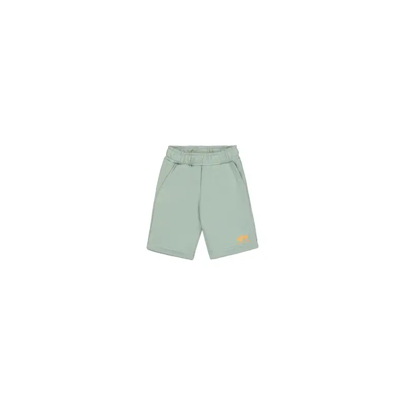 alpha industries Shorts per bambini Small Vert
