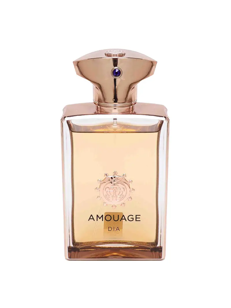 Amouage Dia Uomo 100 Ml Arancione