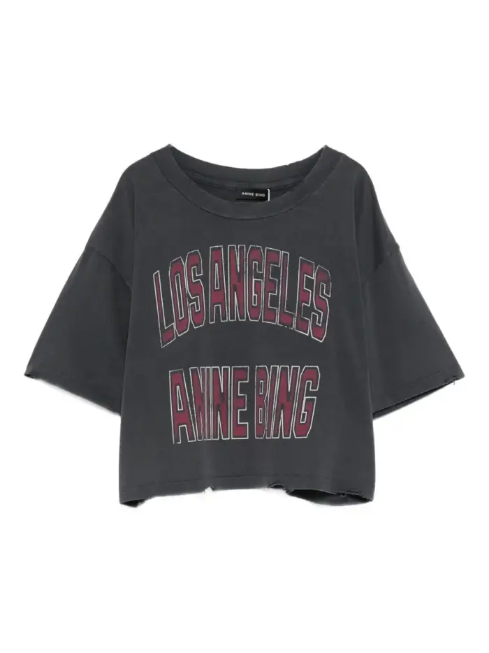 Anine Bing T-shirt GRIGIO
