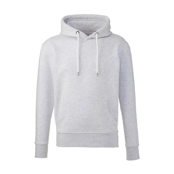 Felpe con cappuccio Anthem AM01 Grigio