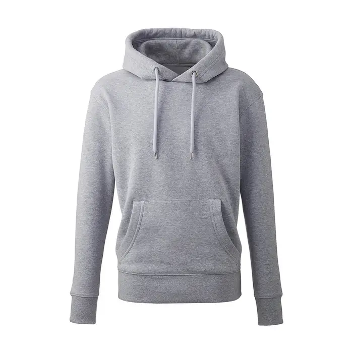 Felpe con cappuccio Anthem AM01 Grigio