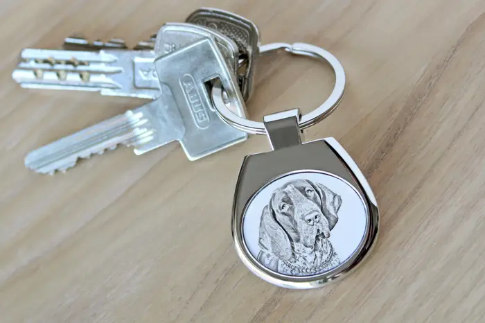Bracco Italiano, Bracco Italiano, Pointer Italiano - portachiavi con cane, portachiavi con stampa, ciondolo personalizzato del marchio Art-Dog argento miniatura 3