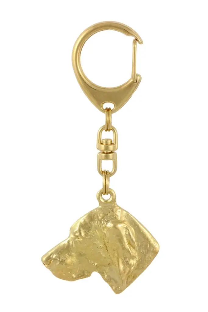 Vizsla, Pointer Ungherese a Pelo Corto - Portachiavi dorato con cane, decorazione per borsa, accessorio di lusso del marchio Art-Dog miniatura 4