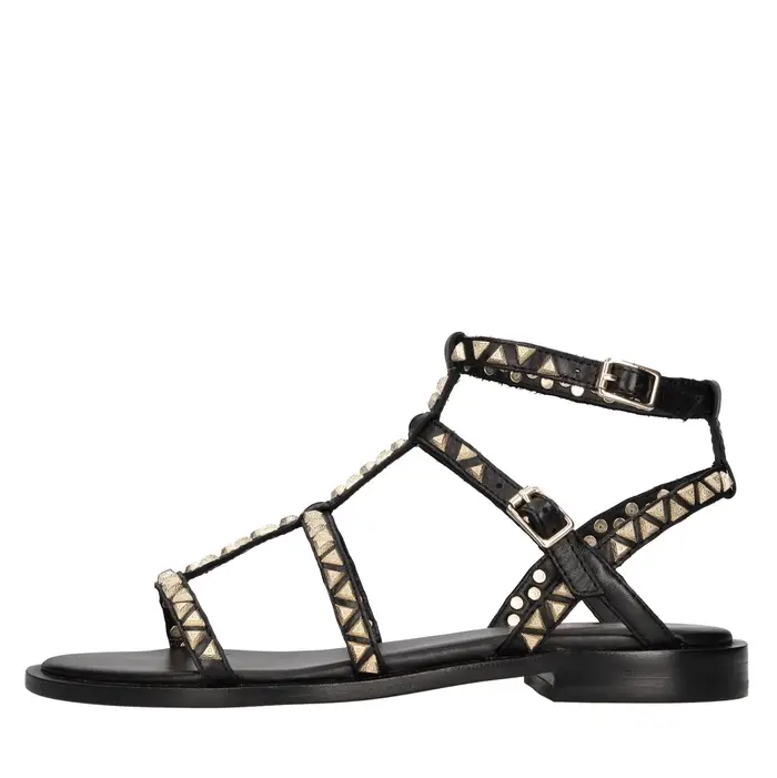 Ash Scarpe basse Nero Nero Neri e Grigi