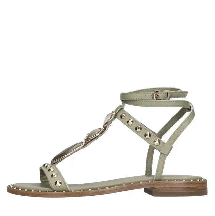 Ash Scarpe basse Verde Verde Blu e verdi