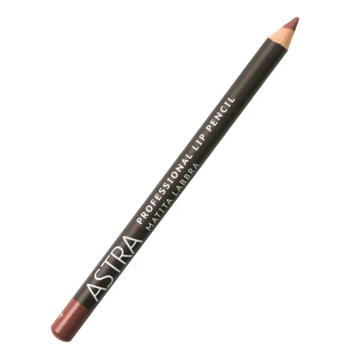 PROFESSIONAL LIP PENCIL Matita Labbra 0041 - WOOD 1g - Matita