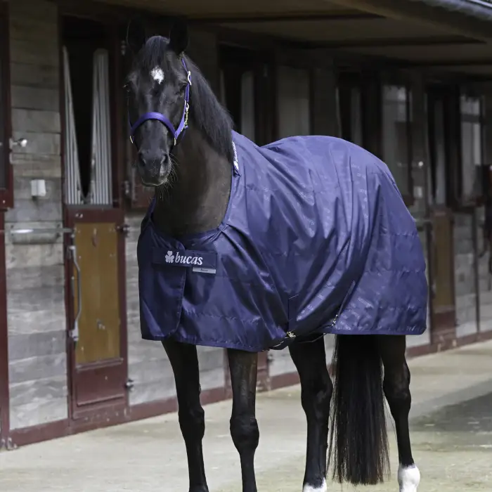 Bucas Coperta da box per cavalli 0g