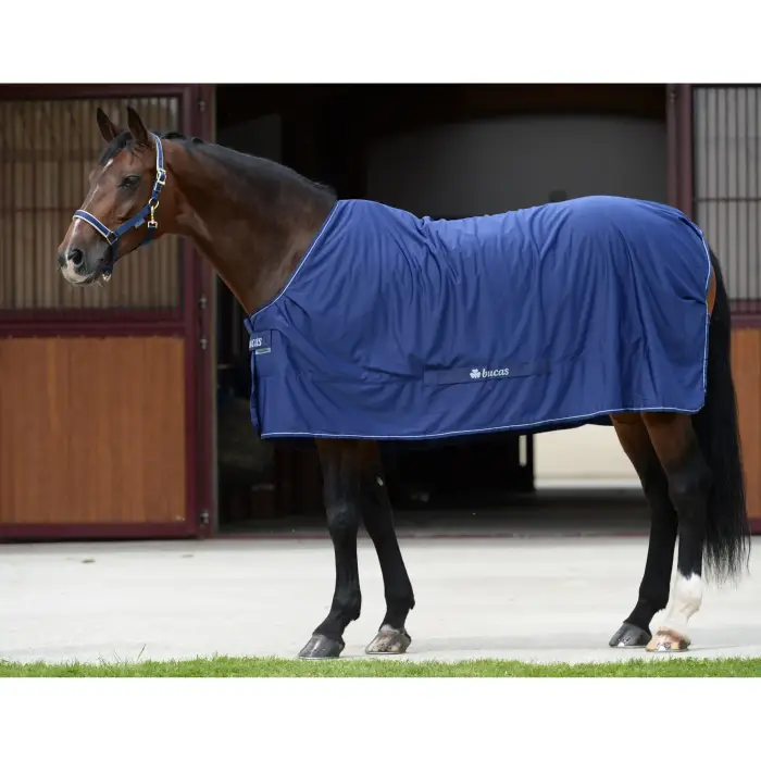 Bucas Coperta da paddock per cavalli con copricollo Shamrock Power
