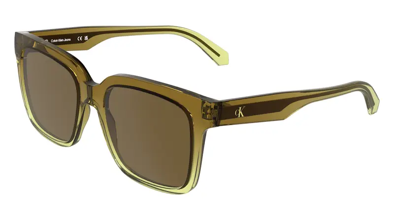 Calvin Klein Occhiali da sole Donna Marrone 2289237