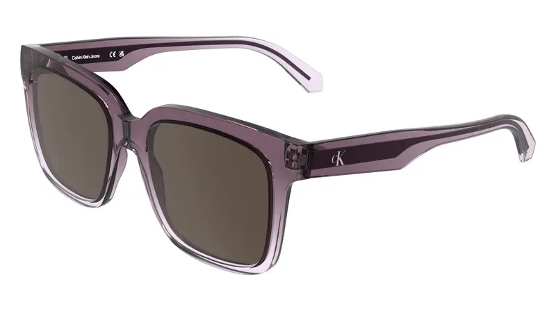 Calvin Klein Occhiali da sole Donna Marrone 2311502