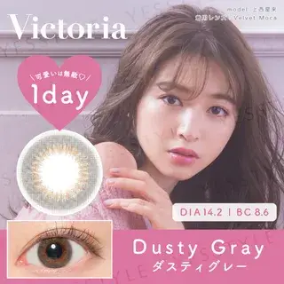 Victoria 1 Day Color Lens Dusty Gray 10 pcs P-0 00 (10 pcs)