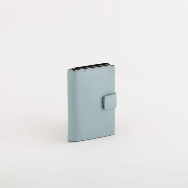 Carpisa P/Carte di credito - Ilasy New Azzurro ghiaccio