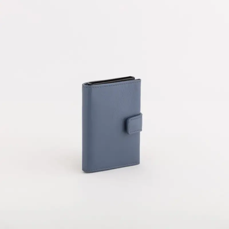 Carpisa P/Carte di credito - Ilasy New Blu polvere