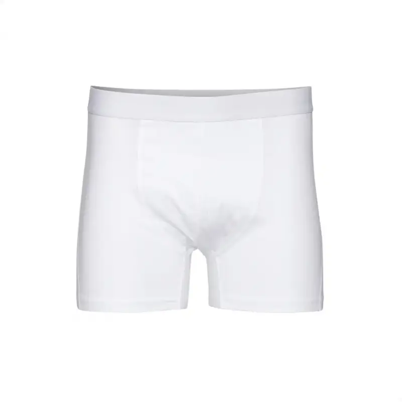 Colorful Standard Boxer 4916003