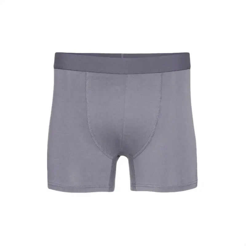 Colorful Standard Boxer 4916005