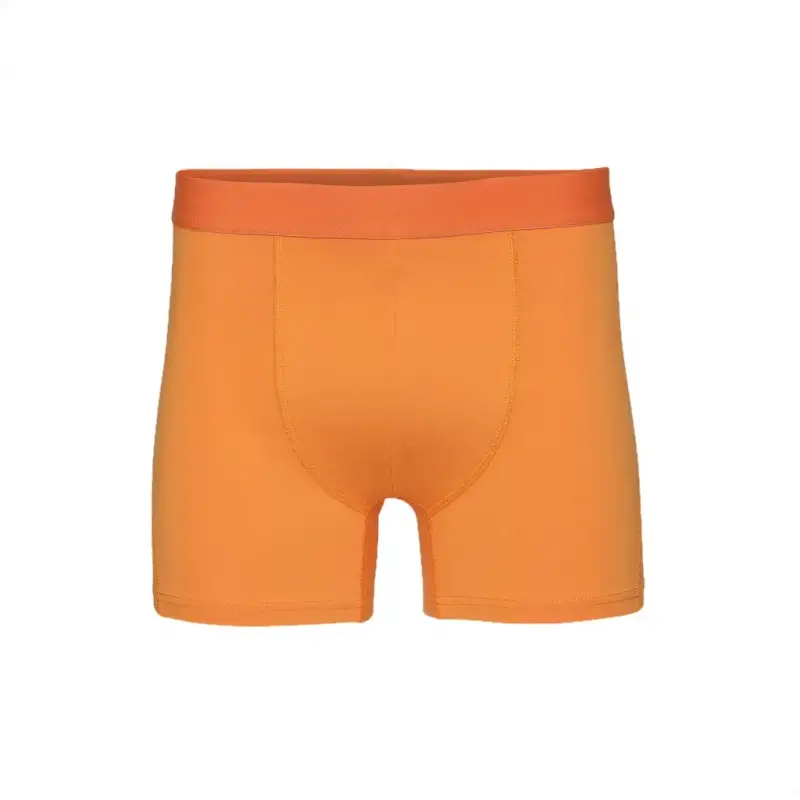 Colorful Standard Boxer 4916006