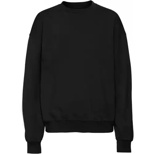 Colorful Standard Felpa girocollo Organic oversized deep black