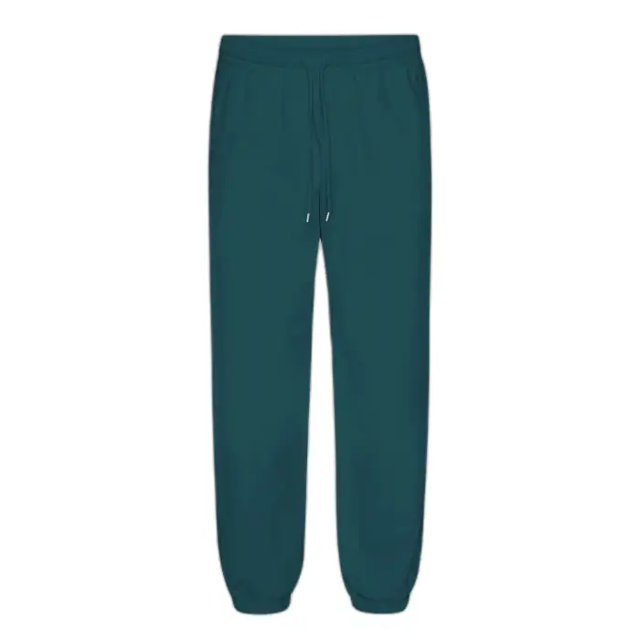 Colorful Standard Pantaloni fitness da ginnastica Organic 2 0 Vert