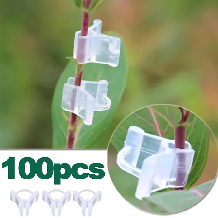 CosyHome 100 Pezzi/Set Clip per Innesto Piante Clip per Innesto Viti da Giardino Strumenti da Giardinaggio