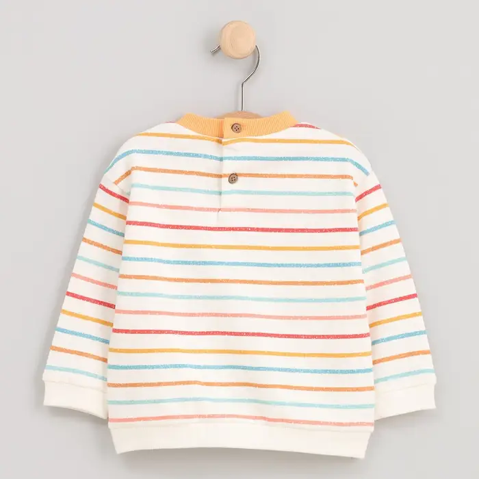 Felpa cotton fish 90622 Multicolore
