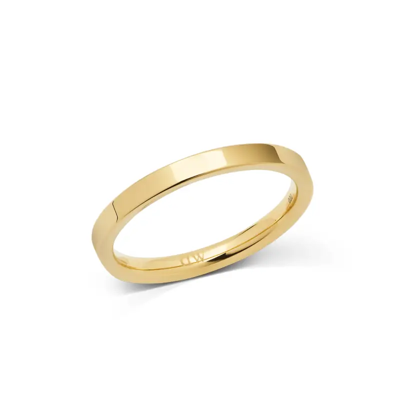 Daniel Wellington DW Line Gold