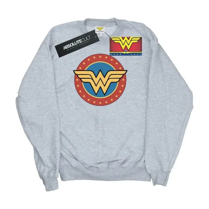Felpe Dc Comics BI50966 Grigio