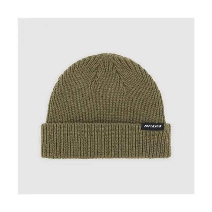 Berretto Dickies Woodworth beanie Verde