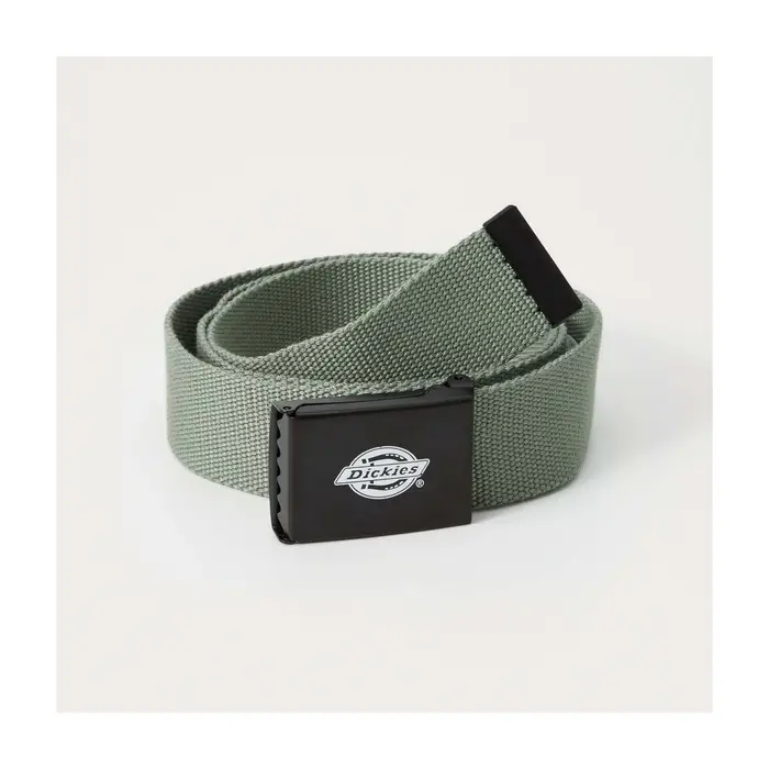 Dickies Cintura Dk0a4x7el191 Verde