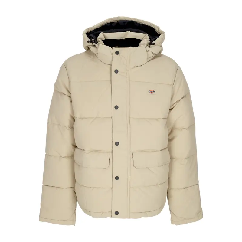 Dickies Piumino Uomo Glacier View Puffer Irish Cream