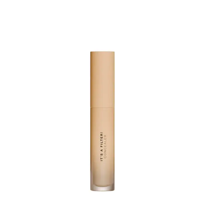 Diego dalla Palma It s a Filter! Concealer 132