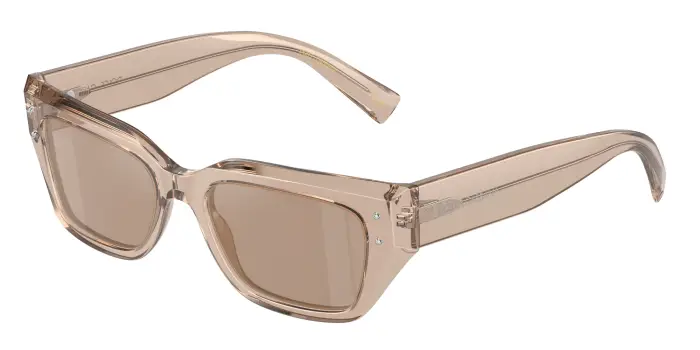 Dolce & Gabbana Donna DG4462 34325A Occhiali da sole Acetato Marrone Marrone Cat Eye Normale Flash