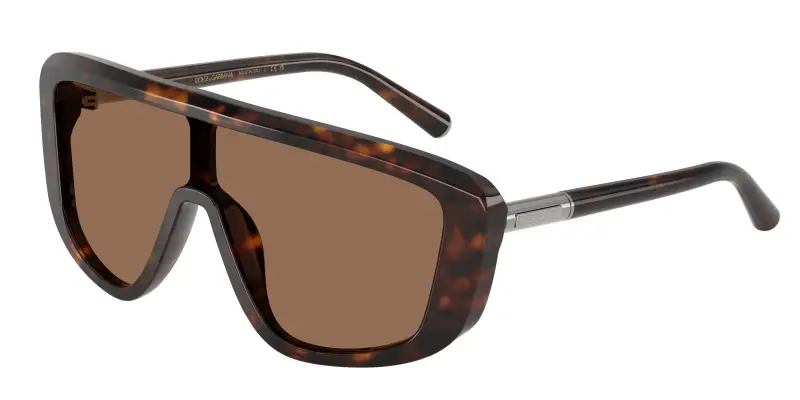 Dolce & Gabbana Occhiali da sole Uomo Marrone 2912913