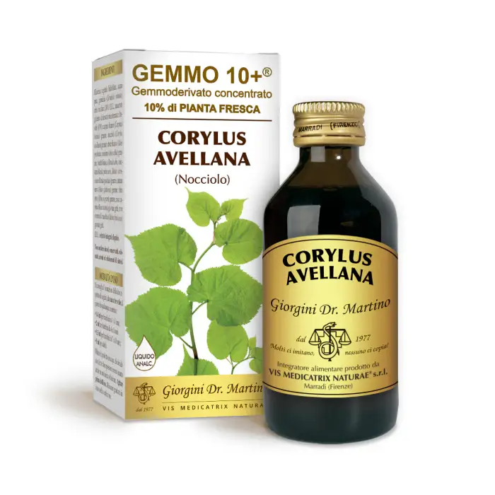 Dr Giorgini Gemmo 10+ Nocciolo 100 ml - Integratore