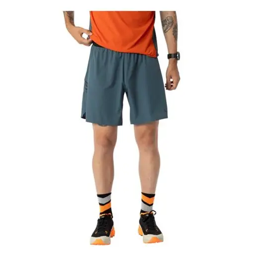 Dynafit Alpine M - pantaloni trail running - uomo Blue