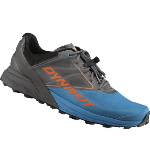 Dynafit Alpine - scarpe trail running - uomo Grey