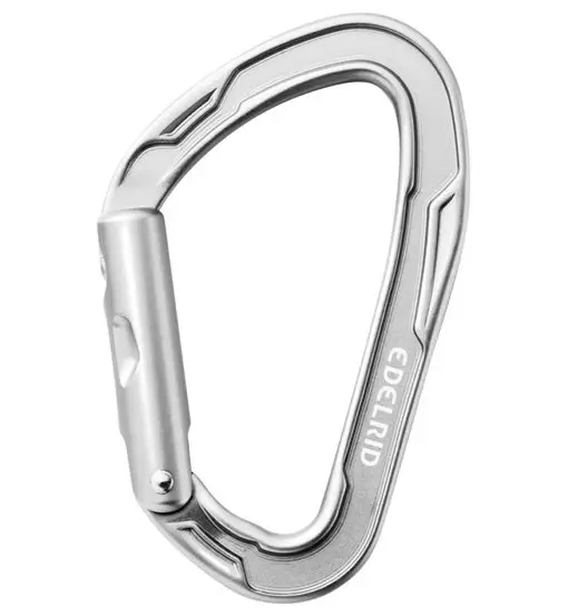 Edelrid Mission Straight - moschettone Silver