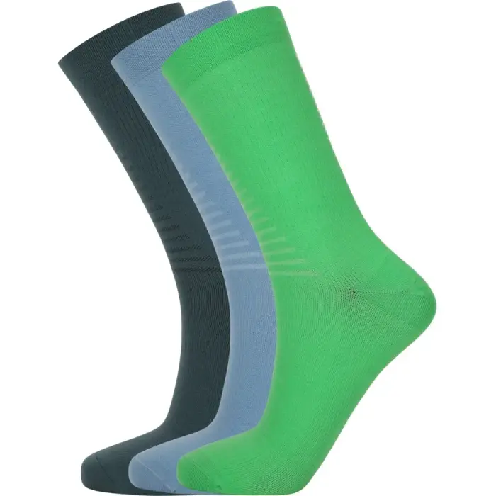 Endurance Chaussettes Hadley (x3) Vert
