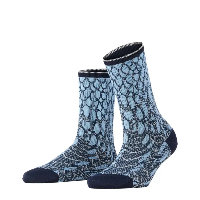 Owl Rhapsody Donna Calze Blu