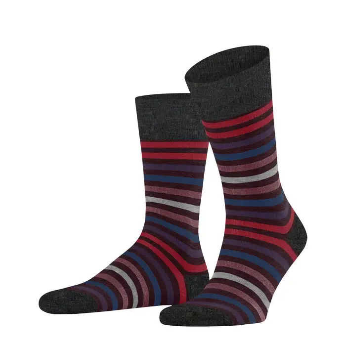 Tinted Stripe Uomo Calze Rosso